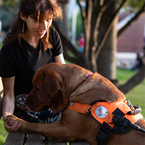 Service dog next to woman sitting on a park bench